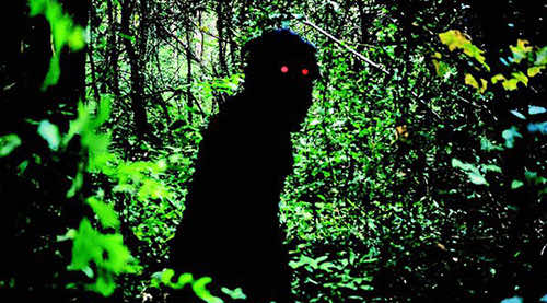 PR still from Uncle Boonmee Who Can Recall His Past Lives.