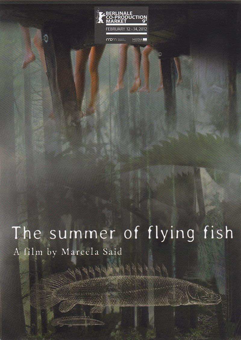 The_Summer_of_Flying_Fish-613336225-large