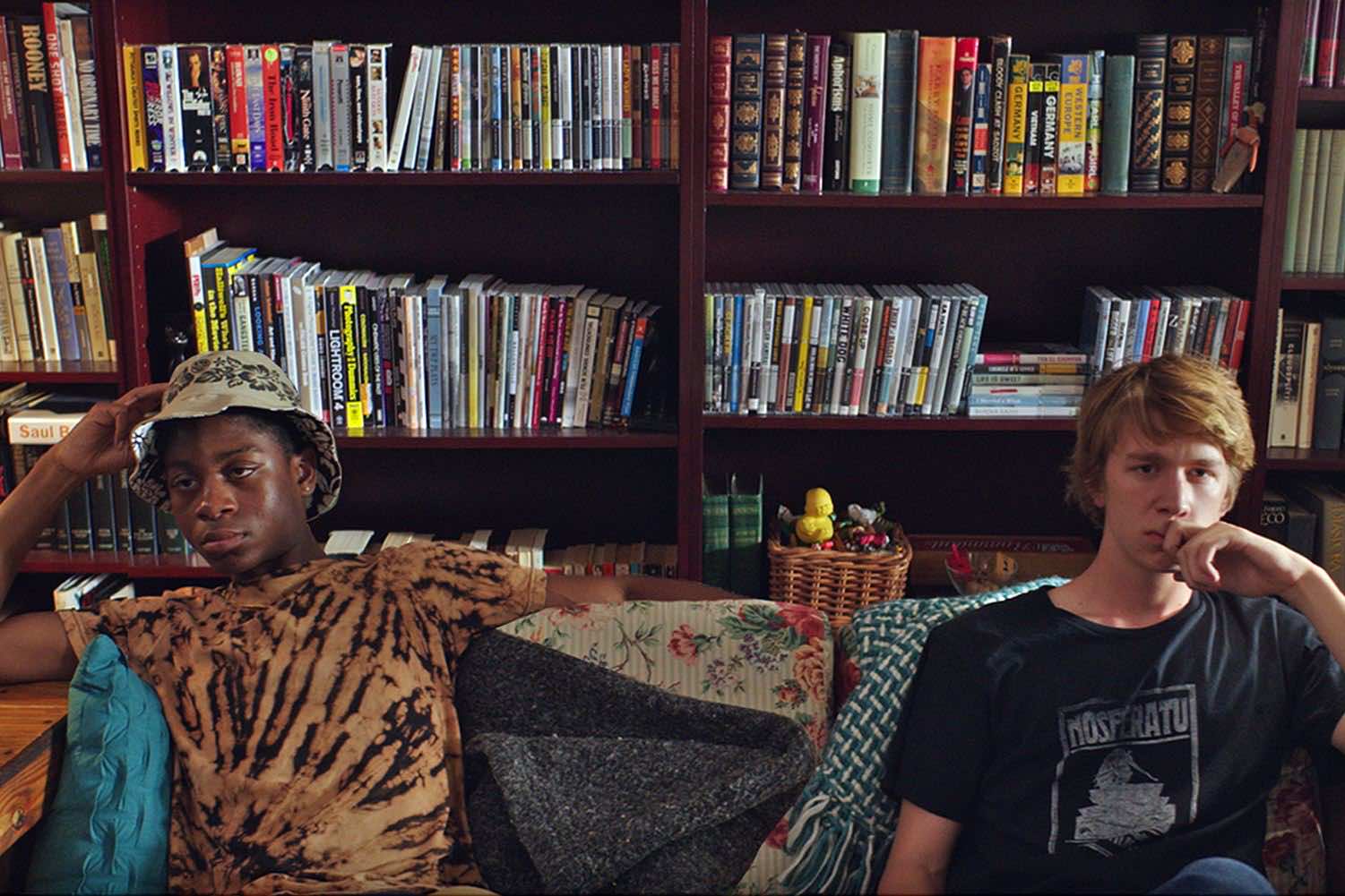 me-and-earl-and-the-dying-girl