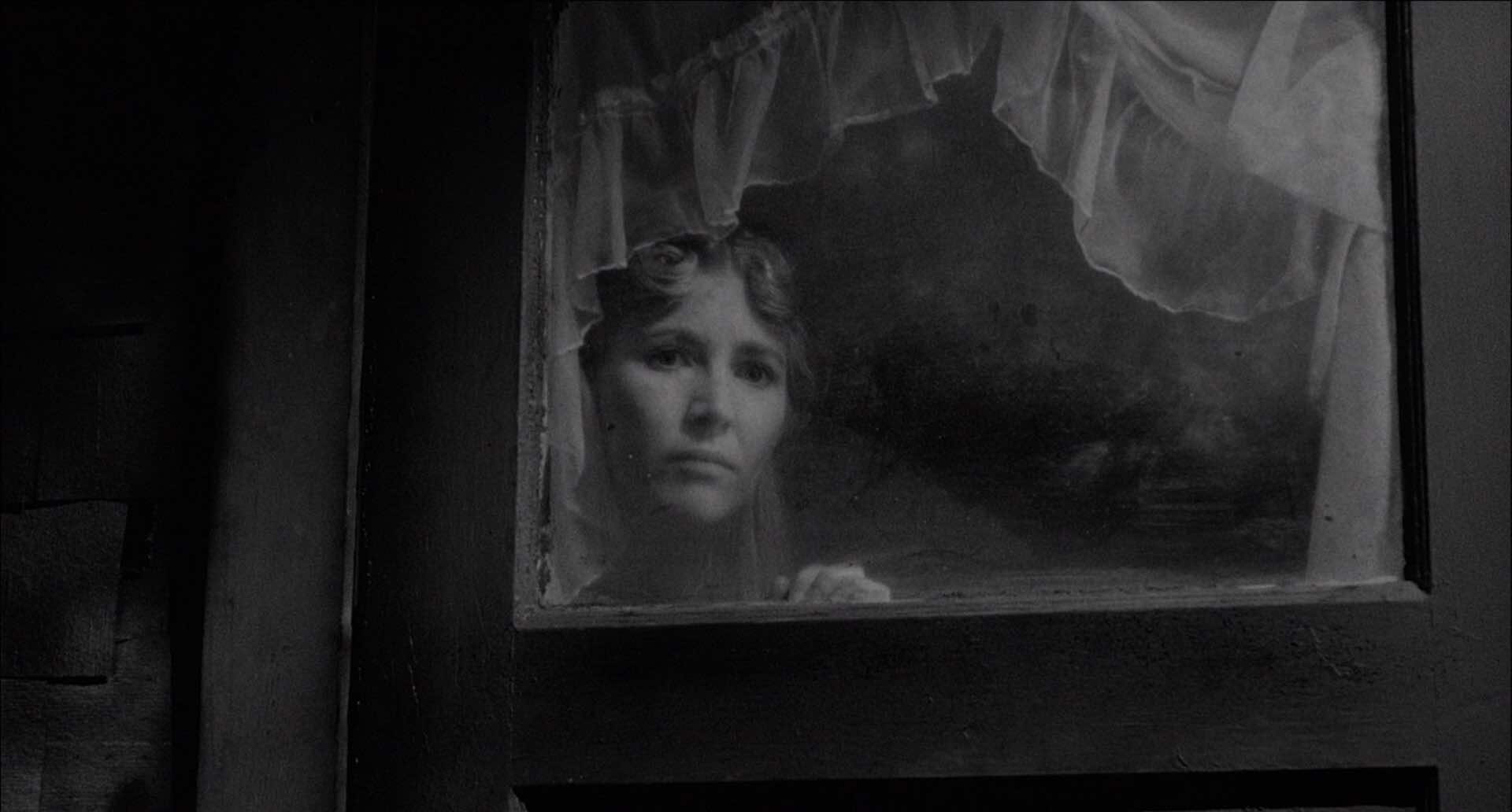 large_eraserhead_blu-ray_03