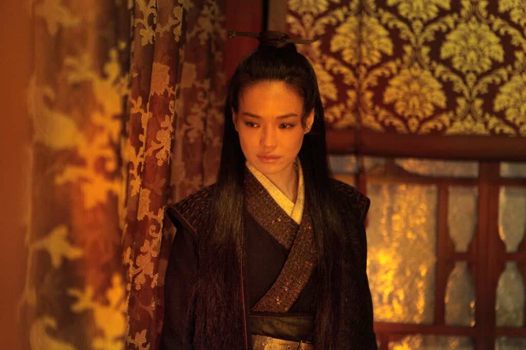 Shu Qi Assassin