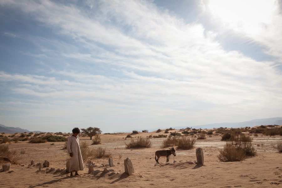 theeb-031