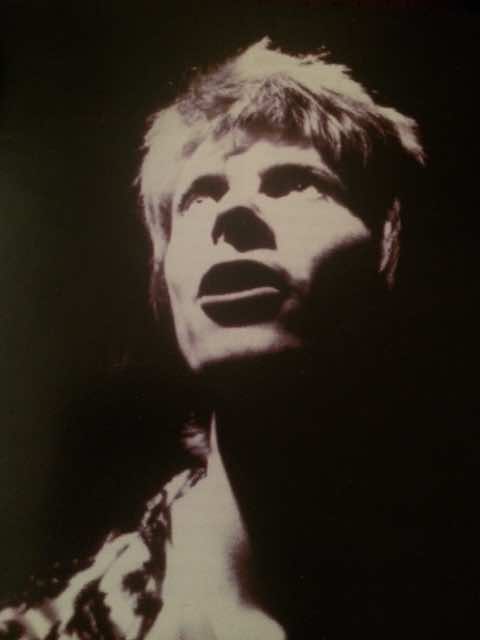 Bowie by Brian Ward