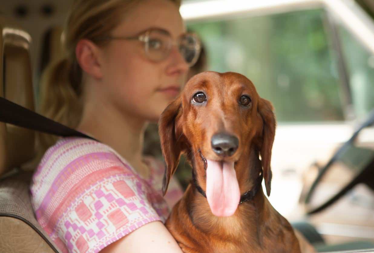 Wiener-Dog and Greta Gerwig