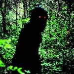 Geerasak Kulhong in Uncle Boonmee Who Can Recall His Past Lives. Still courtesy of Strand Releasing.