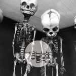 holly hunt year one cover