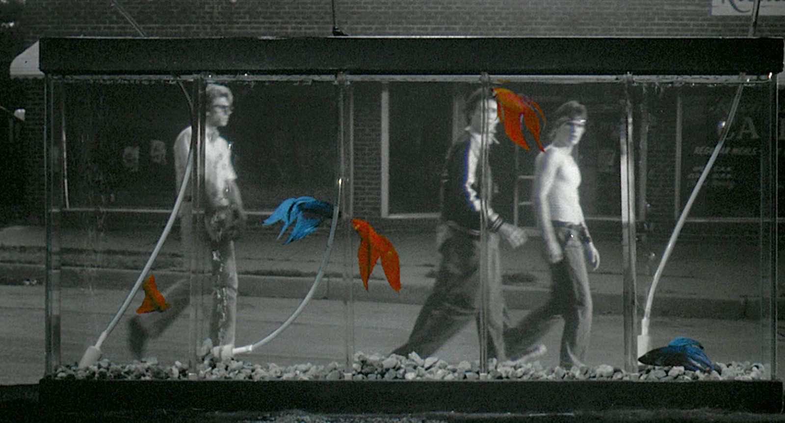 MoC_RUMBLE_FISH_300dpi_Press1 (Large)