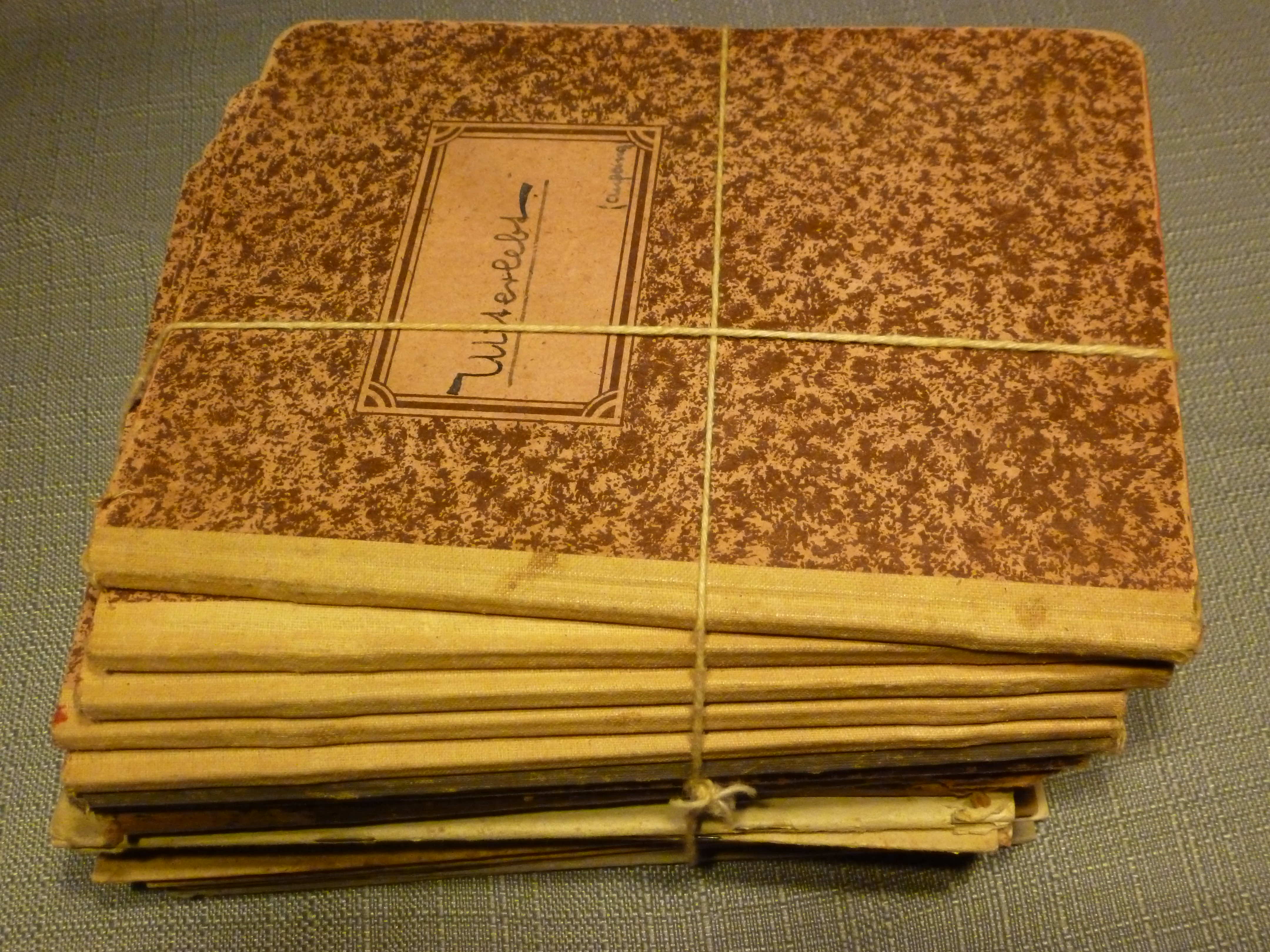 My fathers journals