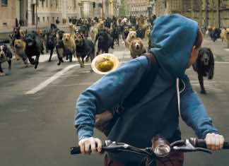 White God takes the easy route to schlock over allegory– a film review