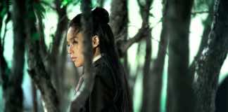 Mini-Miami Film Festival ‘Gems’ to bring Florida premiere of The Assassin and other real gems