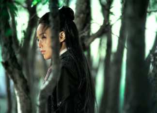 Mini-Miami Film Festival ‘Gems’ to bring Florida premiere of The Assassin and other real gems