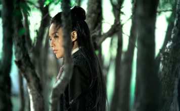Mini-Miami Film Festival ‘Gems’ to bring Florida premiere of The Assassin and other real gems