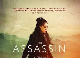 The Assassin tells moving story of humanity beyond martial arts — a film review