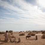theeb-031