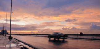 The 33rd Miami International Film Festival – so far