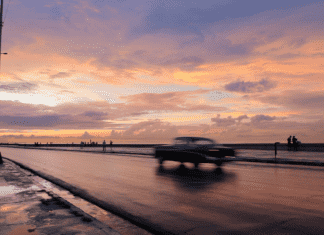 The 33rd Miami International Film Festival – so far