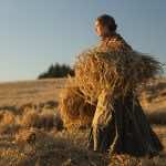 Sunset Song expresses the loveliness of impermanence in one of this year’s most moving films — a film review