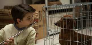 Wiener-Dog toggles between the grim and beautiful with Solondz’s uncompromising wit — a film review