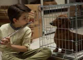 Wiener-Dog toggles between the grim and beautiful with Solondz’s uncompromising wit — a film review