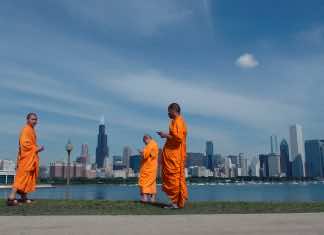 Lo and Behold: Reveries of the Connected World considers the state of humanity in the digital age — a film review