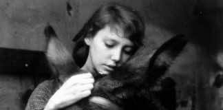 Actor Brady Corbet praises 35mm ahead of rare screening of ‘Au Hasard Balthazar’ at MIFF