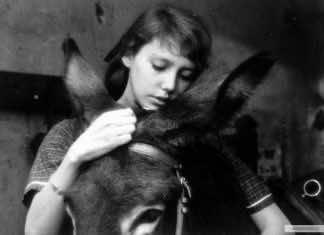 Actor Brady Corbet praises 35mm ahead of rare screening of ‘Au Hasard Balthazar’ at MIFF