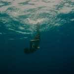 evolution_stills_000011lesfilmsduworso_potemkinefilms