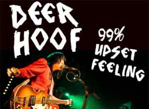 Deerhoof offer free download of live album