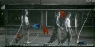 My personal favorite film: ‘Rumble Fish;’ read my ode to Coppola’s underrated masterpiece in AFI