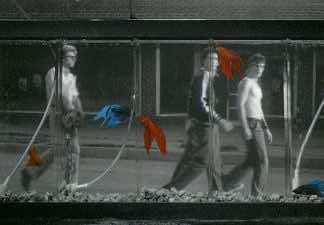 My personal favorite film: ‘Rumble Fish;’ read my ode to Coppola’s underrated masterpiece in AFI