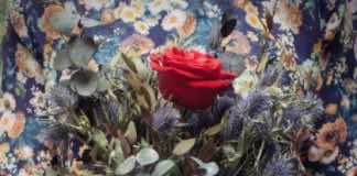 Deeply moving film from Basque country, Flowers, makes exclusive U.S. commercial run in Miami area