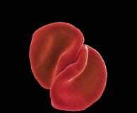 Gabriel highlights lyrics in the gloom of Scratch My Back