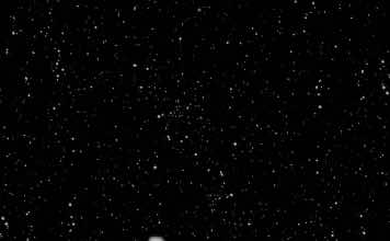 Swans near end of US tour with 3 Florida dates; Leader M. Gira offers preview of what to expect