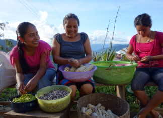 In Seed: The Untold Story food commodification means bad news — A film review