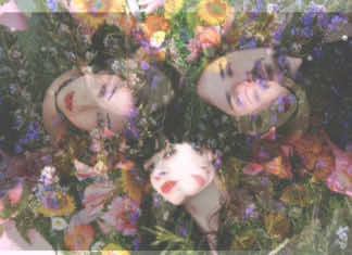 PureHoney’s publisher talks Bumblefest Music Festival and the wonders and challenges of print ‘zines