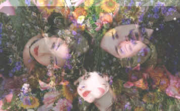 PureHoney’s publisher talks Bumblefest Music Festival and the wonders and challenges of print ‘zines