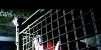 Peter Murphy goes ‘deep’ into subjective experience of music and my “Miami New Times” story