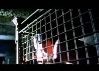 Peter Murphy goes ‘deep’ into subjective experience of music and my “Miami New Times” story