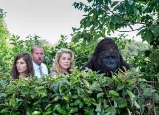 The Brand New Testament waffles between subversive humor and slapstick — a film review