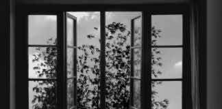 24 Frames offers revolutionary perspective on the ‘long take’