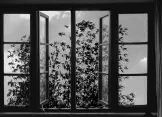 24 Frames offers revolutionary perspective on the ‘long take’