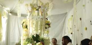 Miami Film Festival movies for lovers of experimental film: Cocote and Winter Brothers