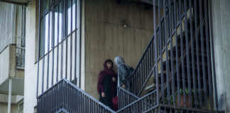 Ava explores familiar drama with powerful yet unobtrusive cinematic skill