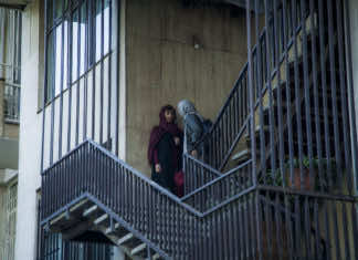 Ava explores familiar drama with powerful yet unobtrusive cinematic skill