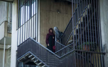 Ava explores familiar drama with powerful yet unobtrusive cinematic skill