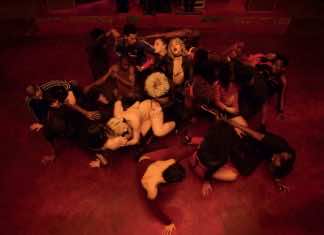 Director Gaspar Noé shows some improvement with Climax